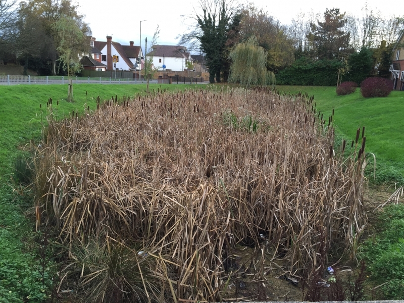 Untitled image
