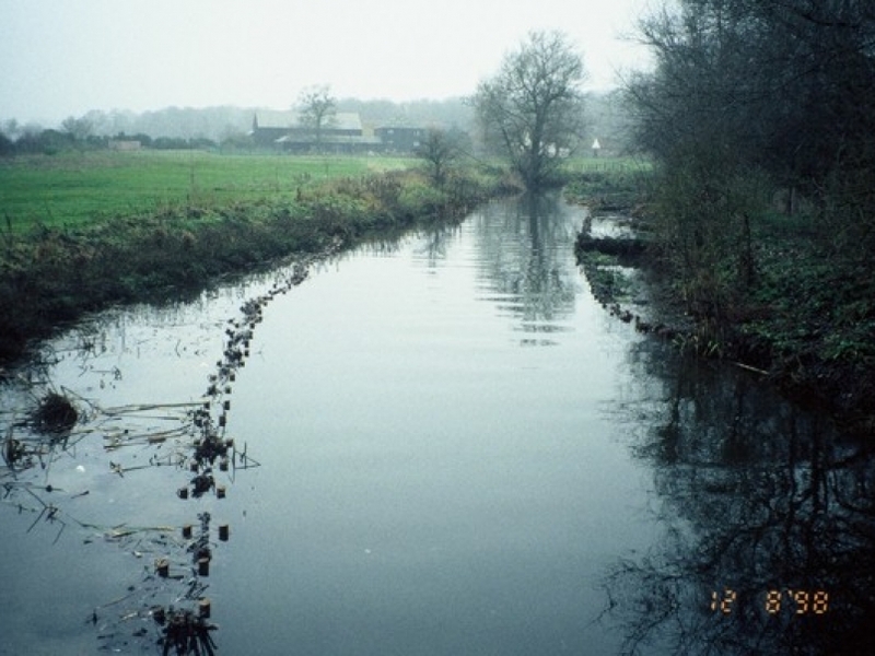 Untitled image