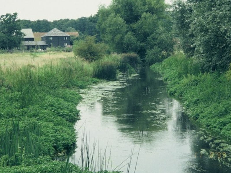Untitled image