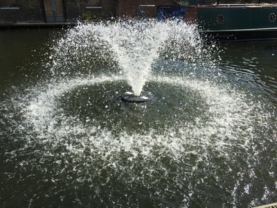Untitled image