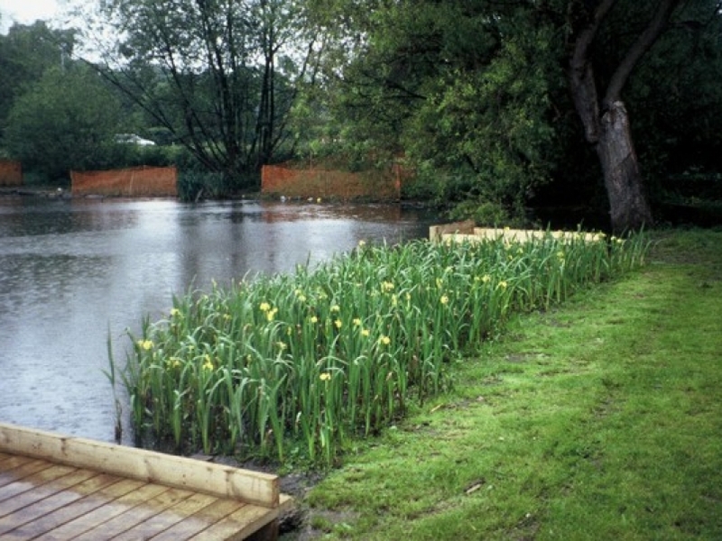 Untitled image