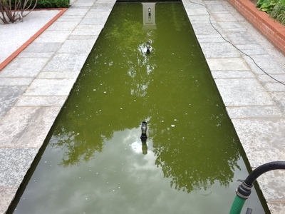 Untitled image