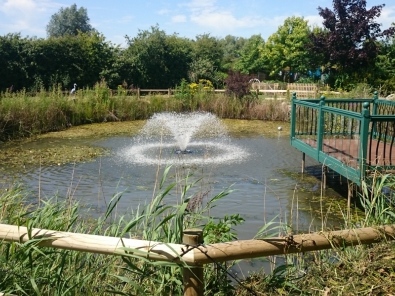 Untitled image