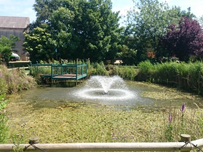Untitled image