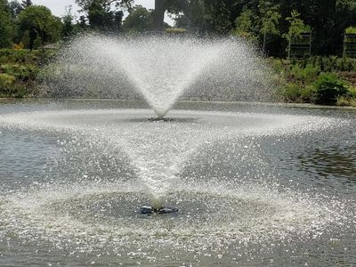 Untitled image