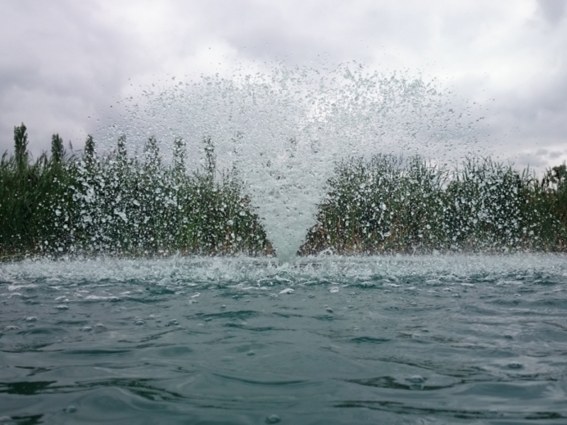 Untitled image
