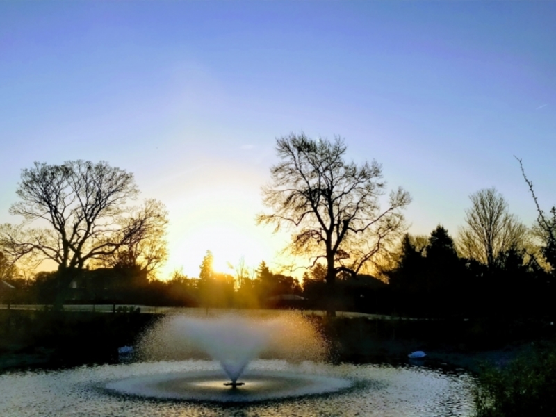 Untitled image