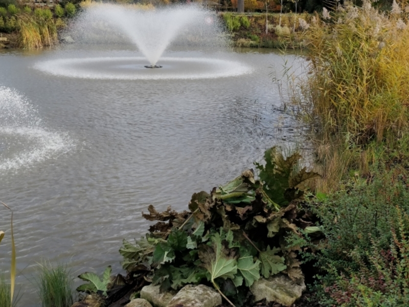 Untitled image
