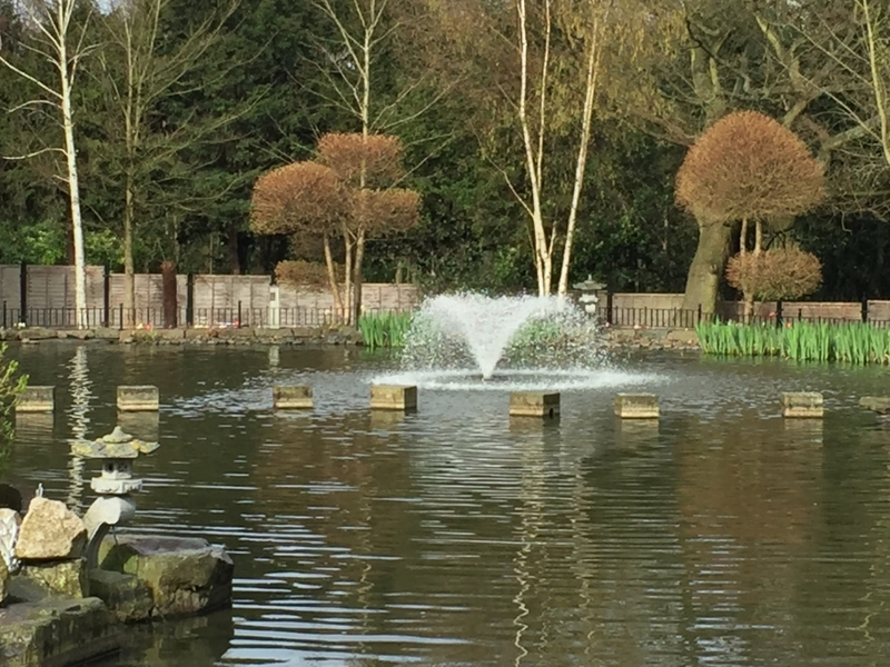 Untitled image