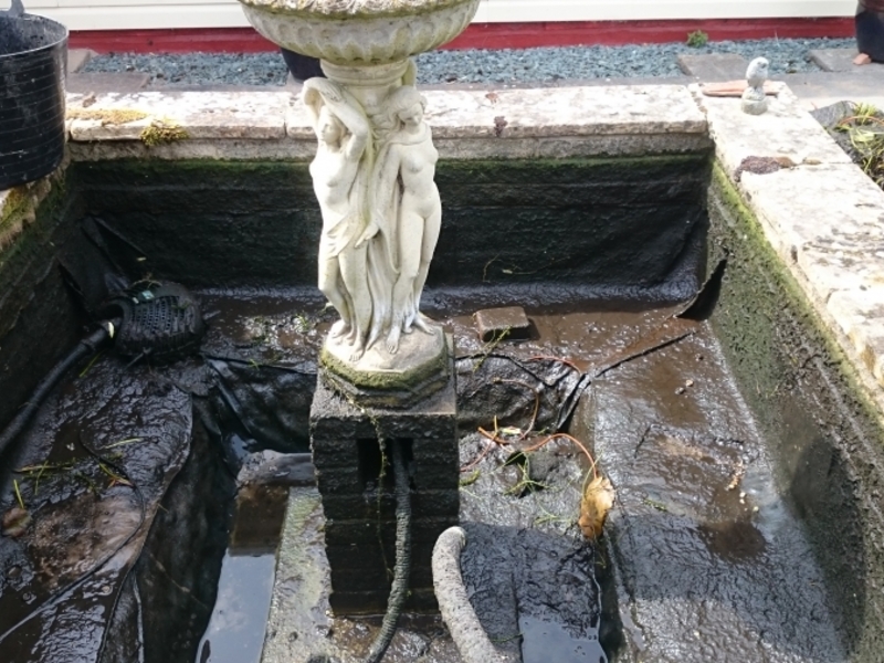 Untitled image