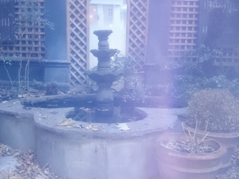 Untitled image