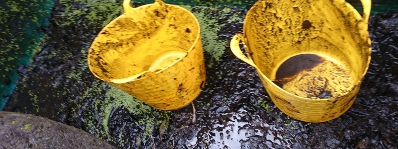 Pond clean in Thetford, Norfolk.