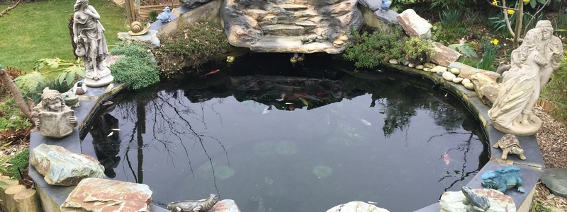 Pond clean in Broxbourne, Hertfordshire.