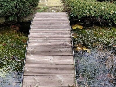 Untitled image
