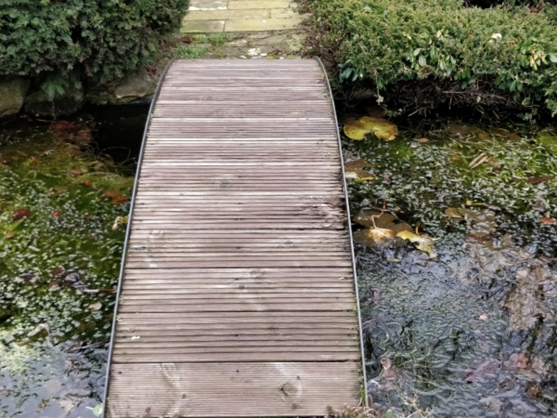 Untitled image