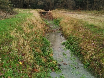 Untitled image