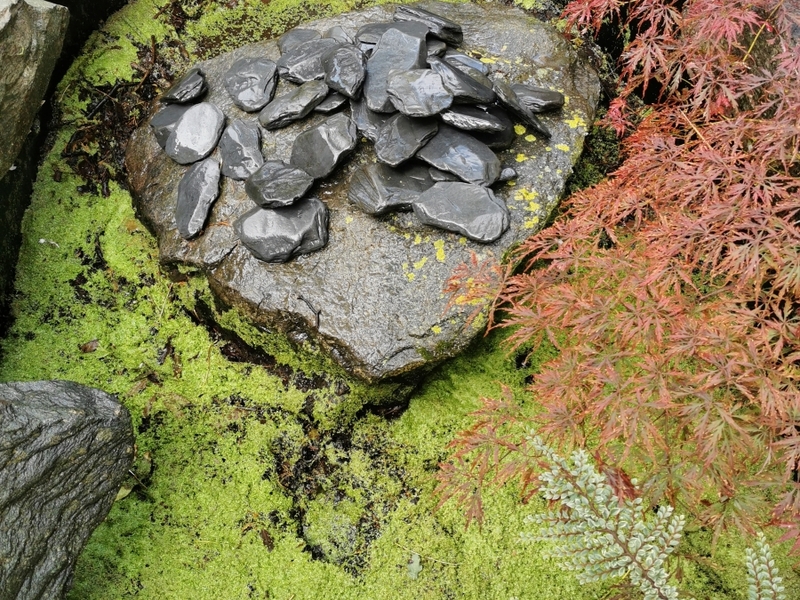 Untitled image