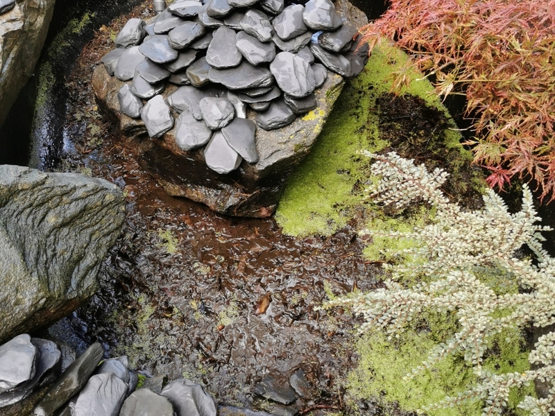 Untitled image
