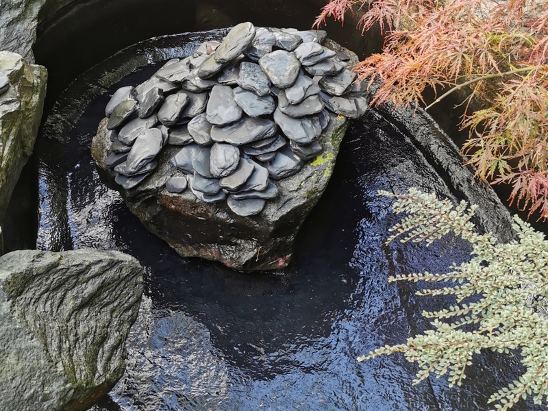 Untitled image