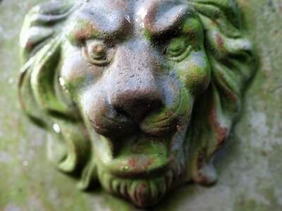 Untitled image