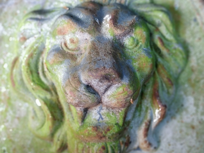 Untitled image