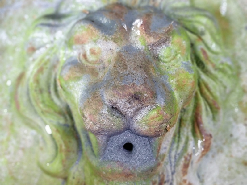 Untitled image