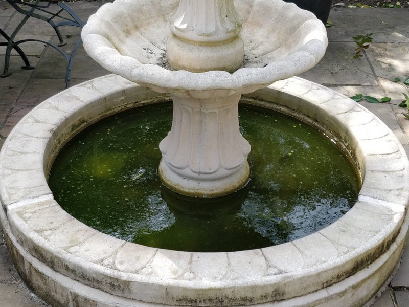 Untitled image