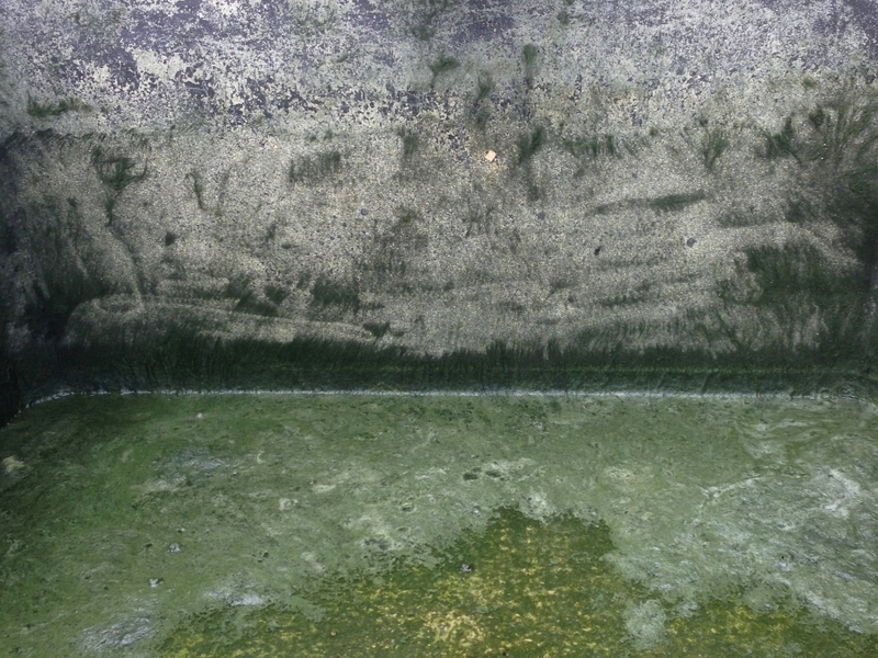 Untitled image
