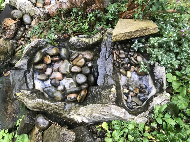 Untitled image