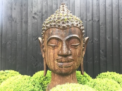 Untitled image