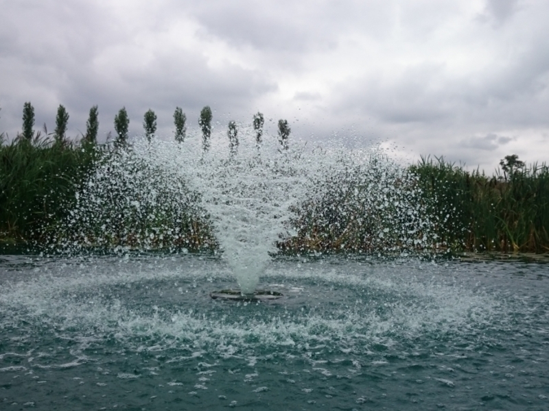 Untitled image