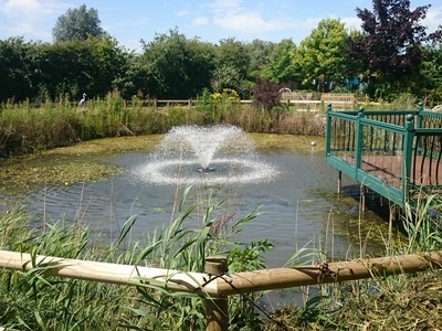 Untitled image