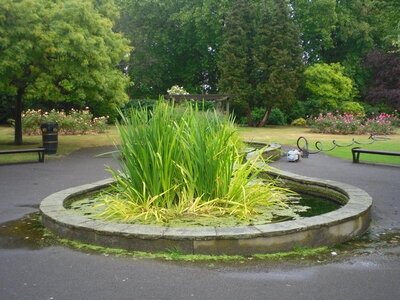 Untitled image