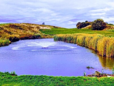 Untitled image