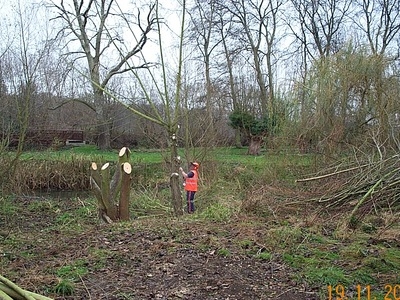 Untitled image