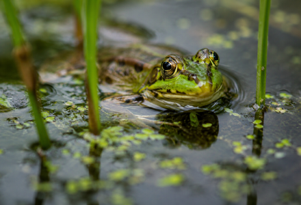 Untitled image