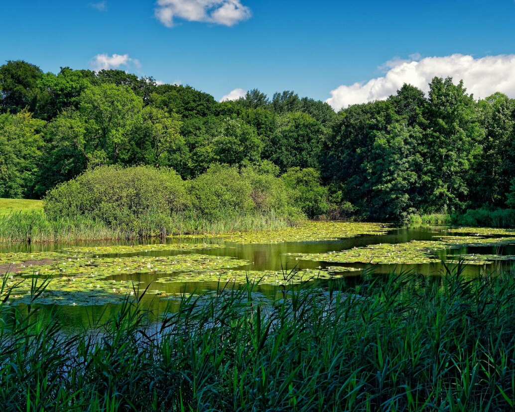 Lake Management & Maintenance